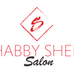 logo_transparent_background-1024x642_salon