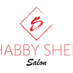 logo_transparent_background-1024x642_salon